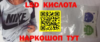 ГАЛЛЮЦИНОГЕННЫЕ ГРИБЫ Новозыбков