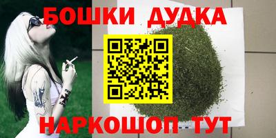ГАЛЛЮЦИНОГЕННЫЕ ГРИБЫ Новозыбков