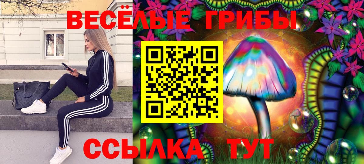 Урюпинск  Галлюциногенные грибы Cubensis  Вход с VPN  Галлюциногенные грибы прущие грибы 